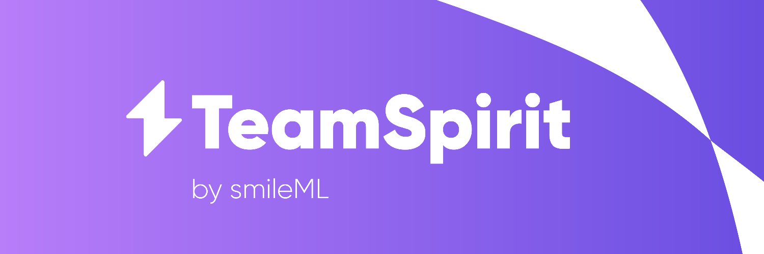 TeamSpirit banner