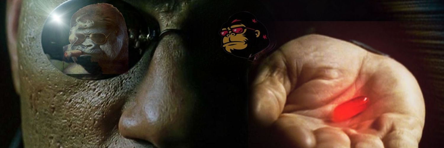 FEGdUp's profile banner image