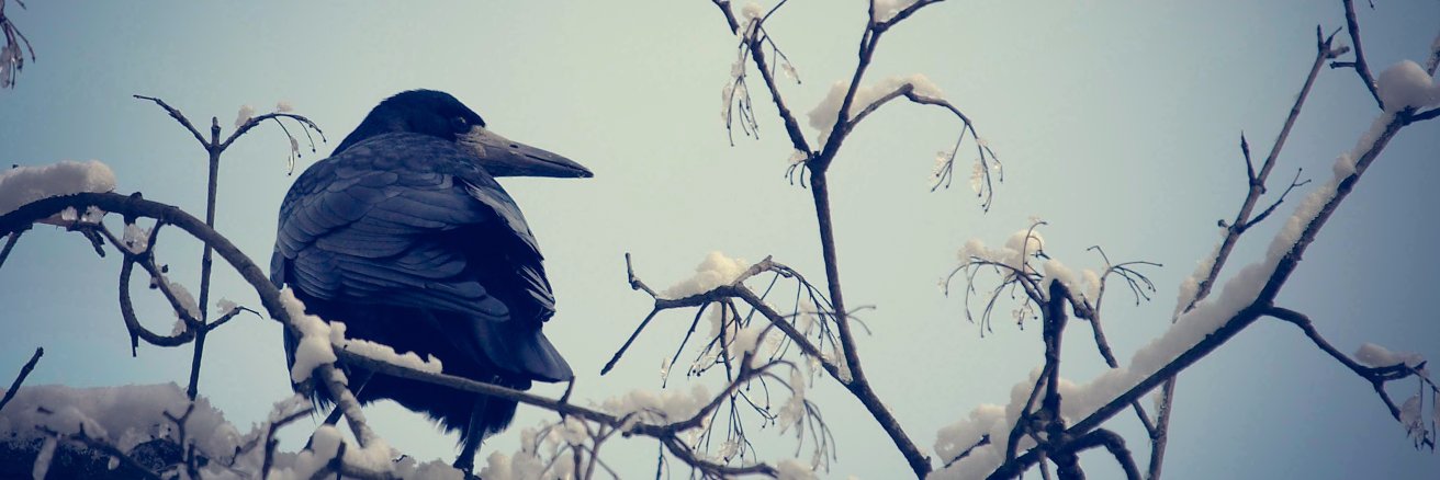 CDBreadner's profile banner image
