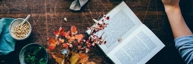 Literartee's profile banner image