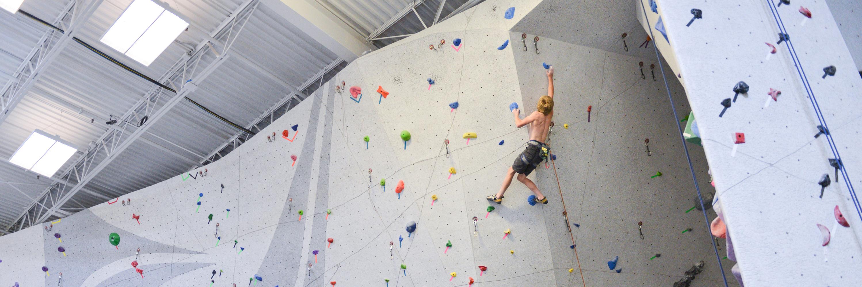 Vertical Endeavors banner