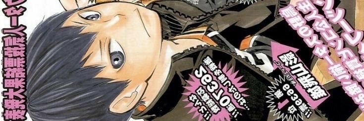 Reecarrot's profile banner image