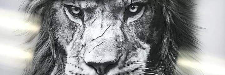 Gabriel95745570's profile banner image