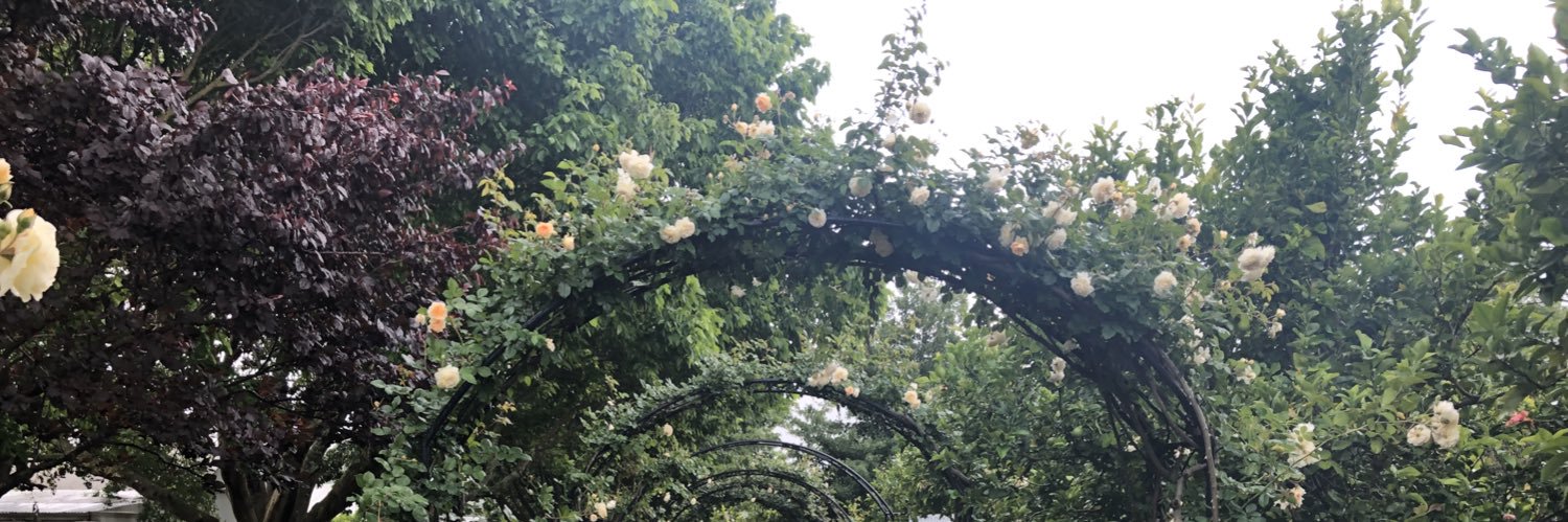BrianneeB's profile banner image