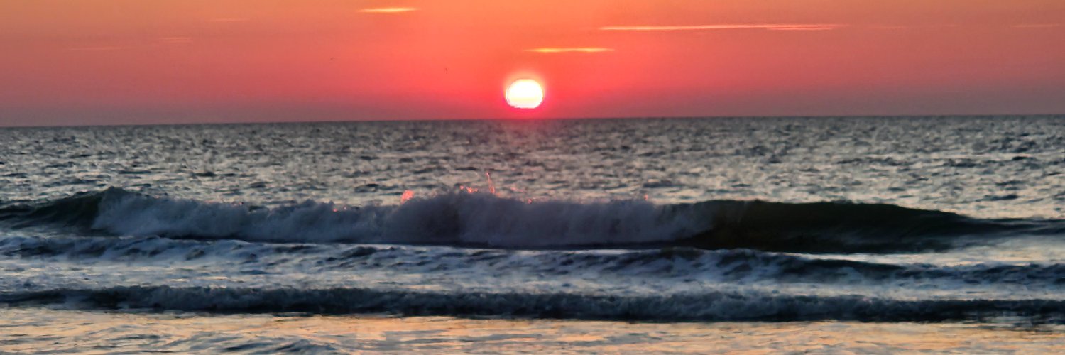 curleyca's profile banner image