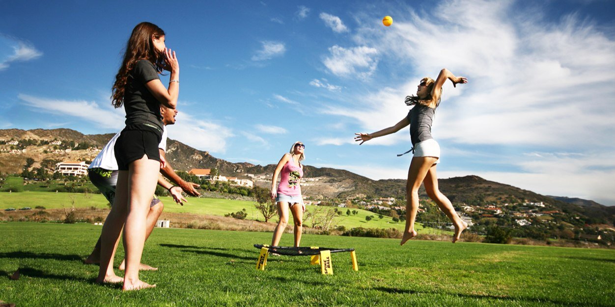 SECSpikeball's profile banner image