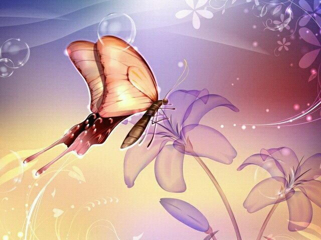 seherkya's profile banner image