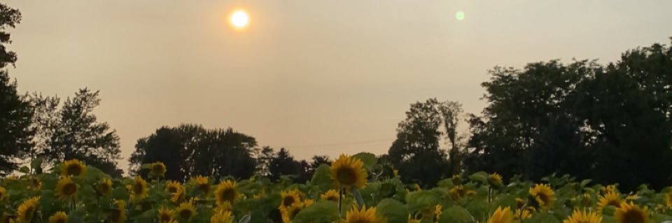 ashcreid's profile banner image