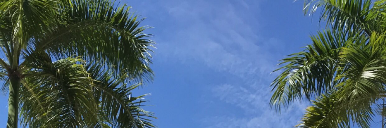 JessieMedrano's profile banner image
