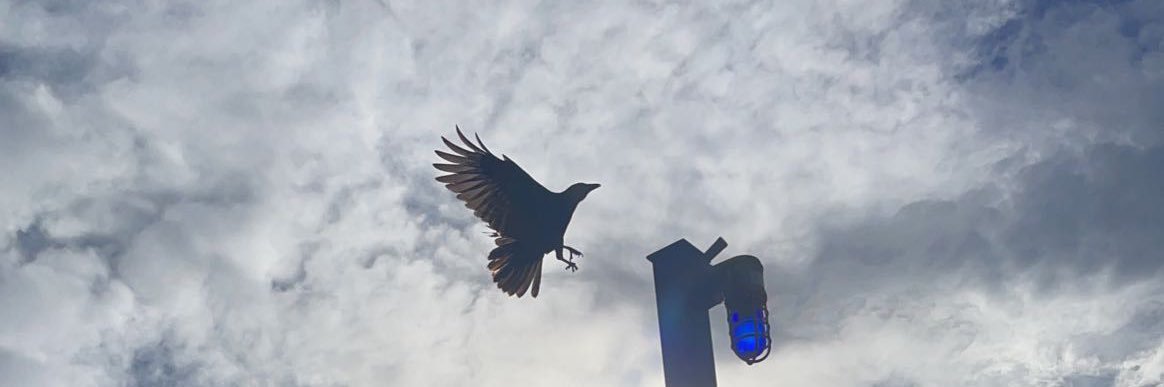Hannah Dentel banner