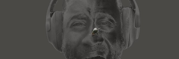 themustyfly Profile Banner
