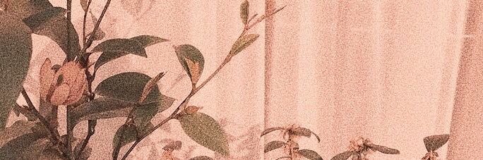 roxycastle's profile banner image