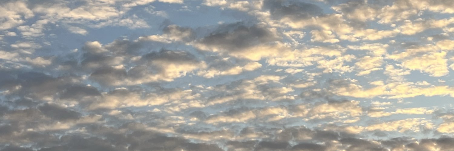 _alyssaleone_'s profile banner image