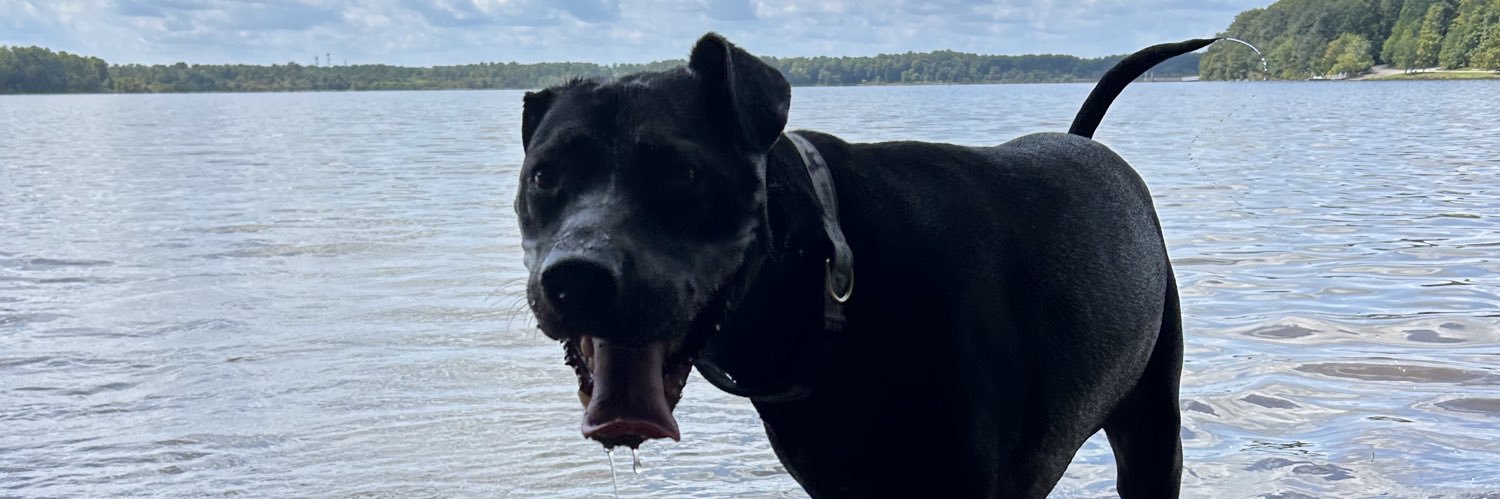 Peyton1809's profile banner image