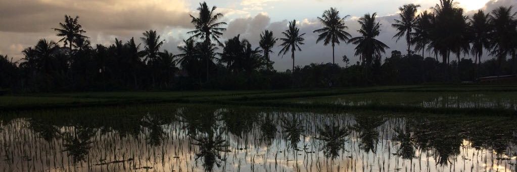 Sonja Kersten banner