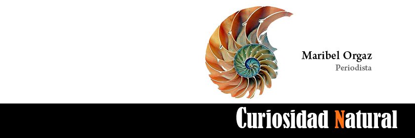 CuriosidadNatural banner