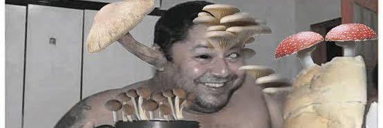 nossokekela's profile banner image