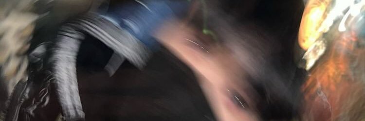 bel banner