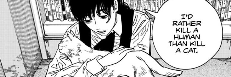 catattacck's profile banner image