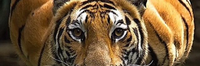 ehtishamali92's profile banner image
