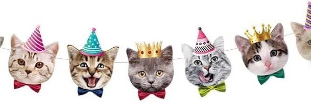 umqueer's profile banner image