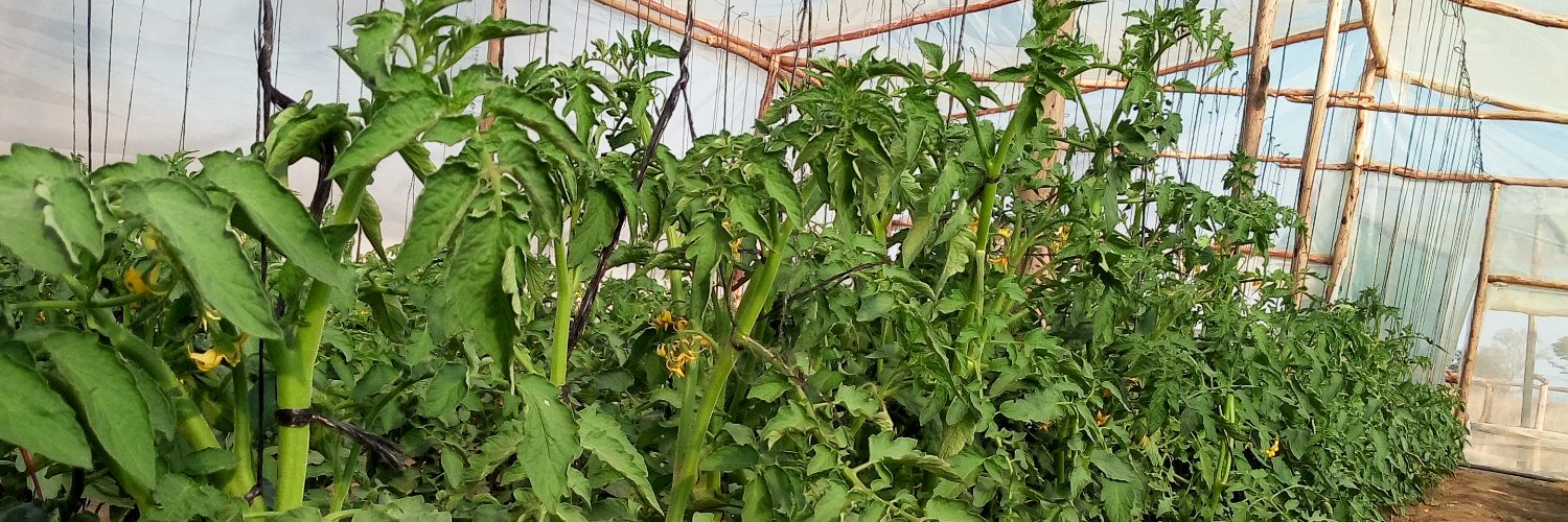 Farming Couple 🇿🇼 banner