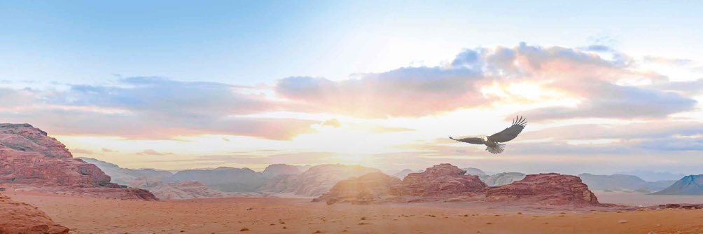 T_Alrasheeed's profile banner image