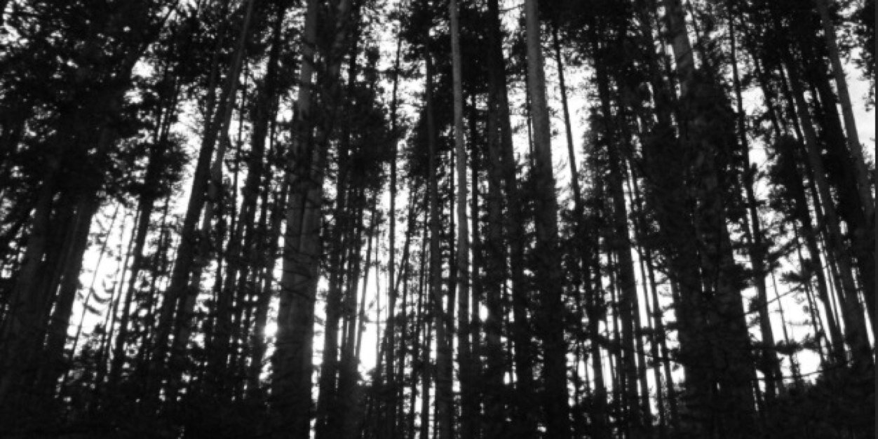 aulhp_'s profile banner image