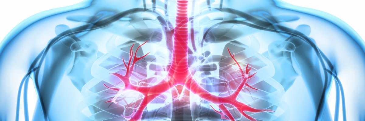@physioupdate's banner