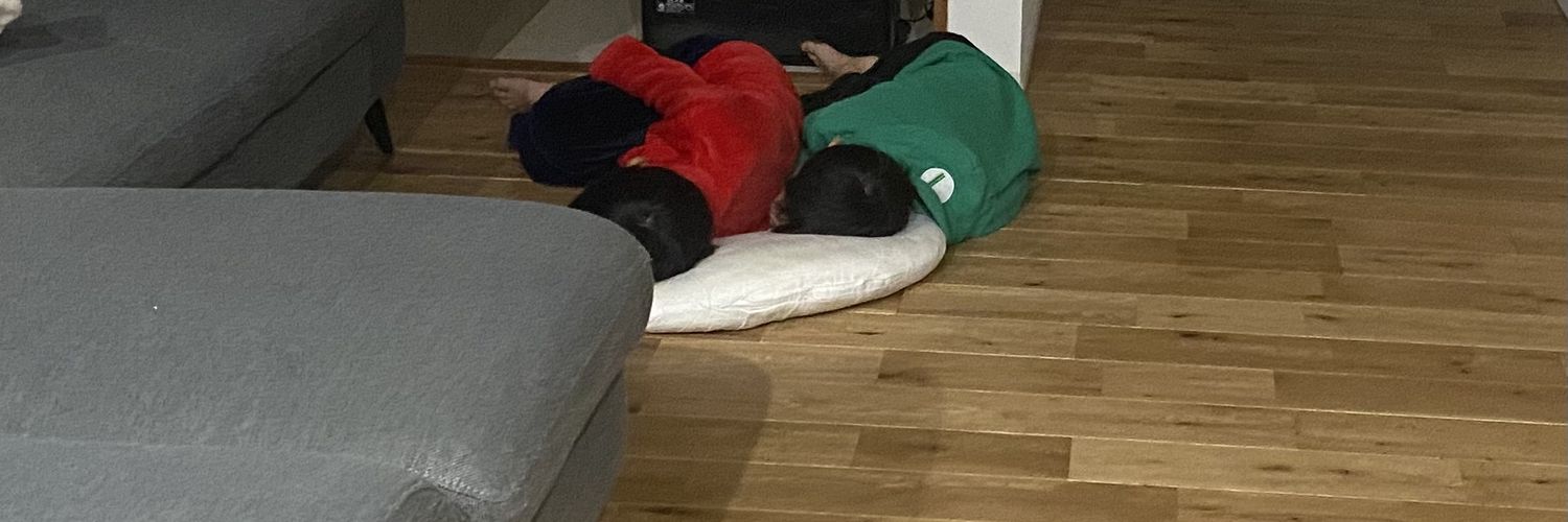 ひののにとん banner