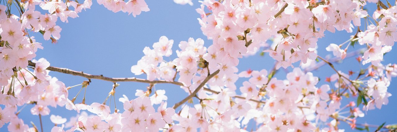 Mizu_PD's profile banner image