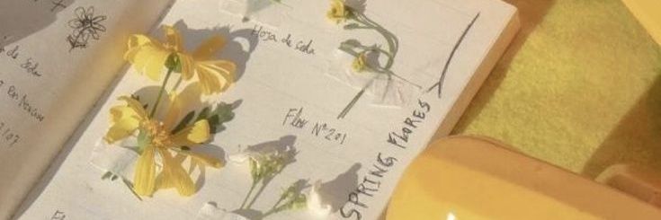 ryasu✮⋆˙ banner