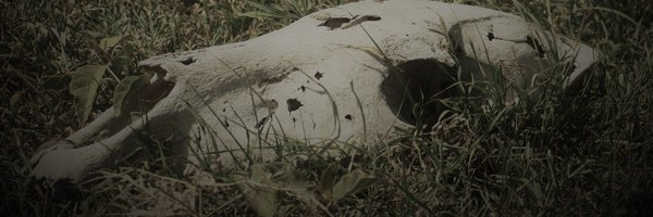 HexSeverine Profile Banner