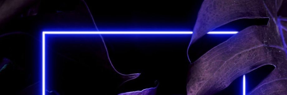 hook_pook's profile banner image