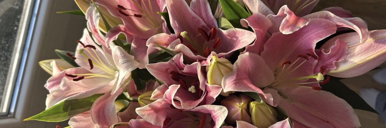 🇧🇷🇧🇷🇧🇷 banner