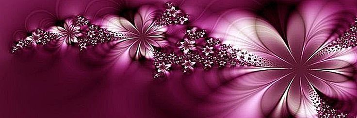 Stephanya 🪷 banner
