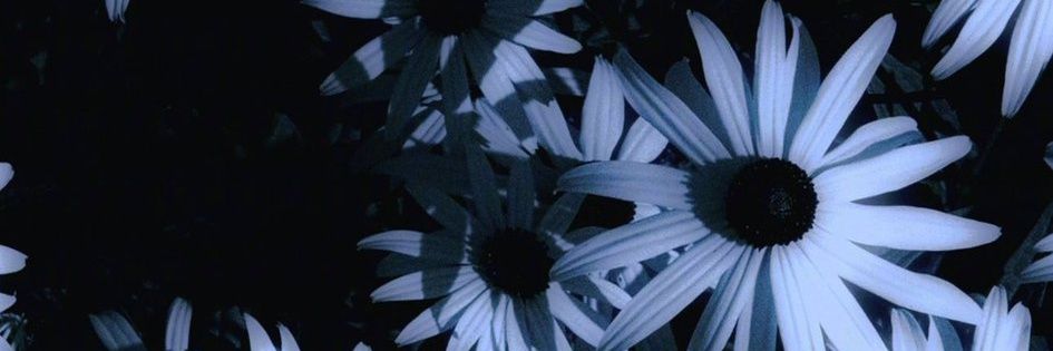 pinky_scars's profile banner image