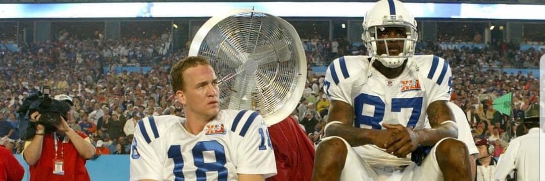 Uncle Stingray banner