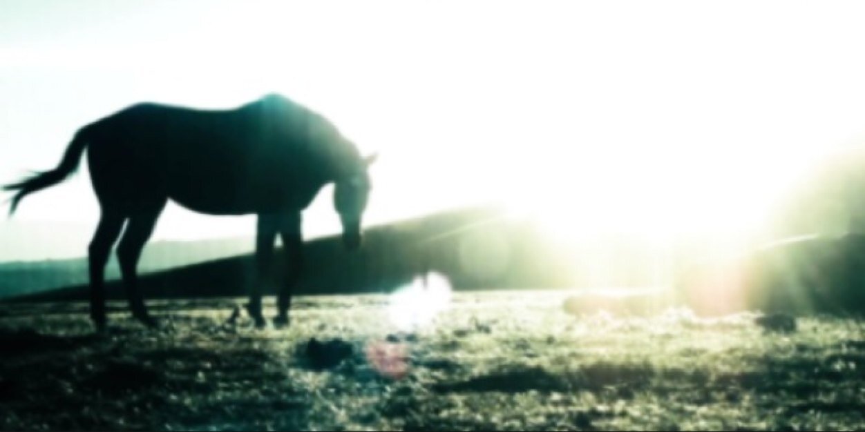 swaggmez's profile banner image