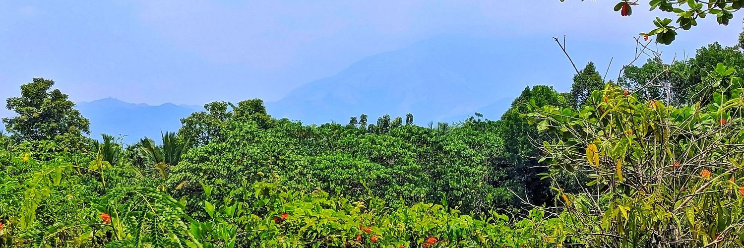 ಮನು 🍁 banner