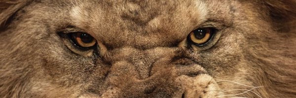 scipio_nl Profile Banner