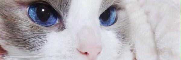 Tutahza23's profile banner image