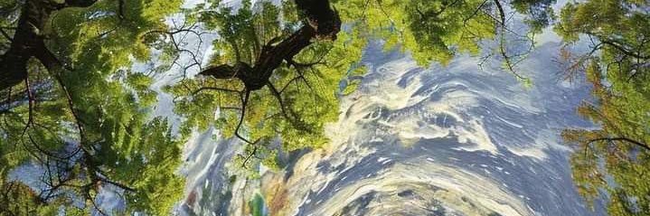 nuancednature's profile banner image