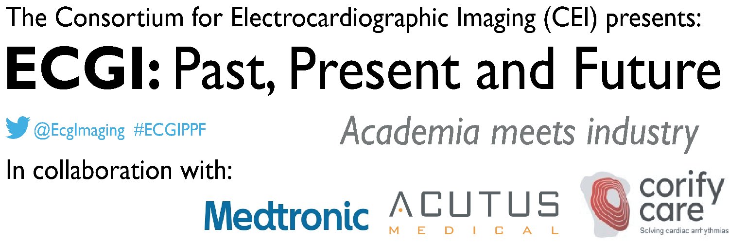 Consortium for Electrocardiographic Imaging banner