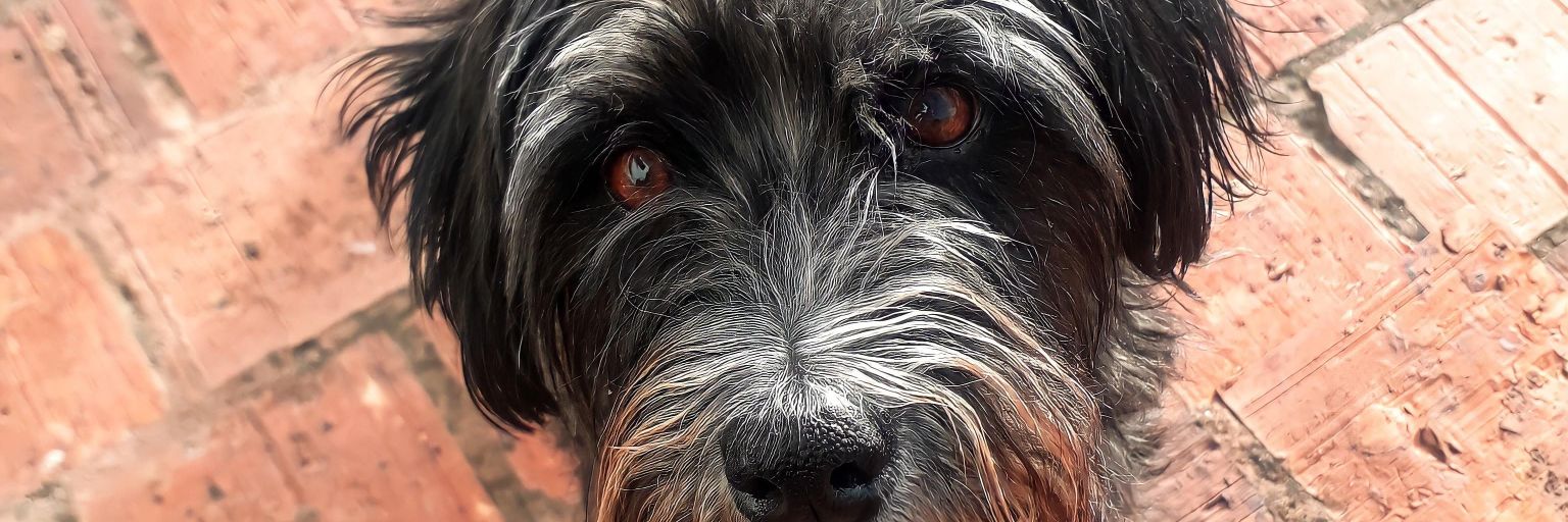 cam22v's profile banner image