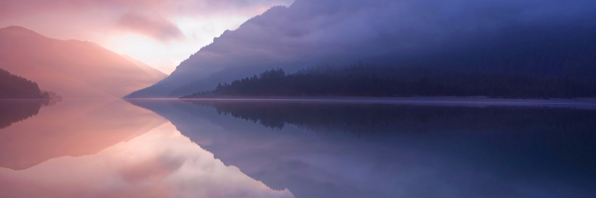 Christine Hansen banner