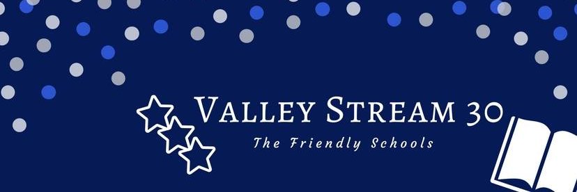 ValleyStream30 banner