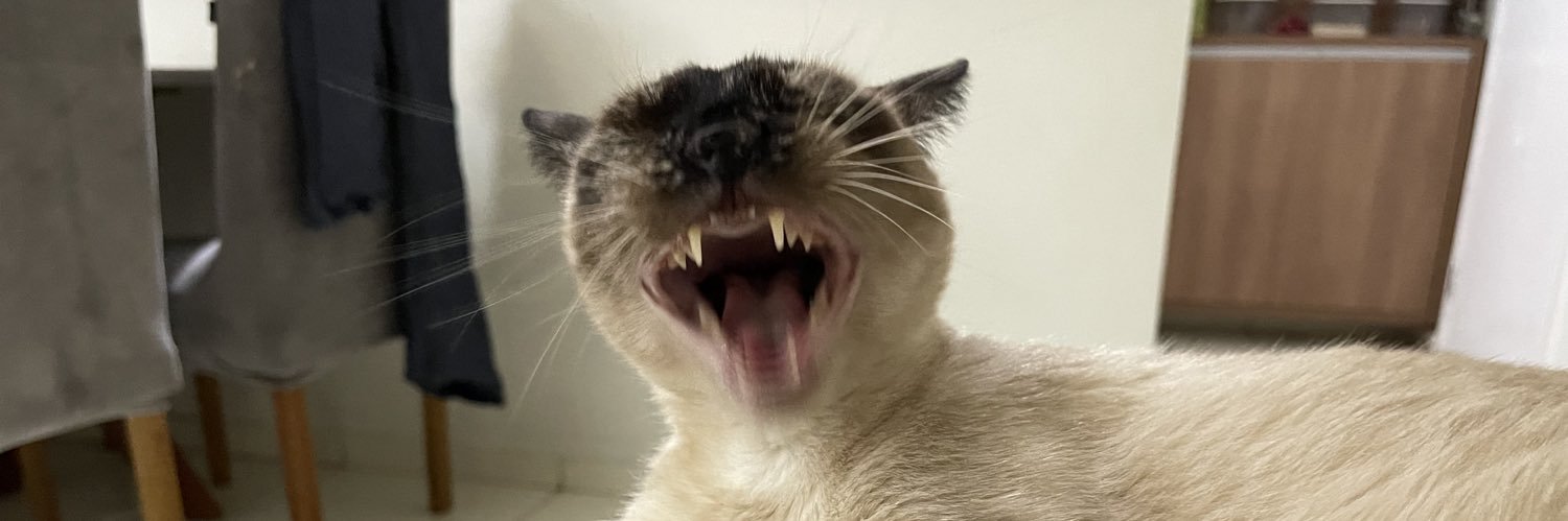 Sofia e papapa banner