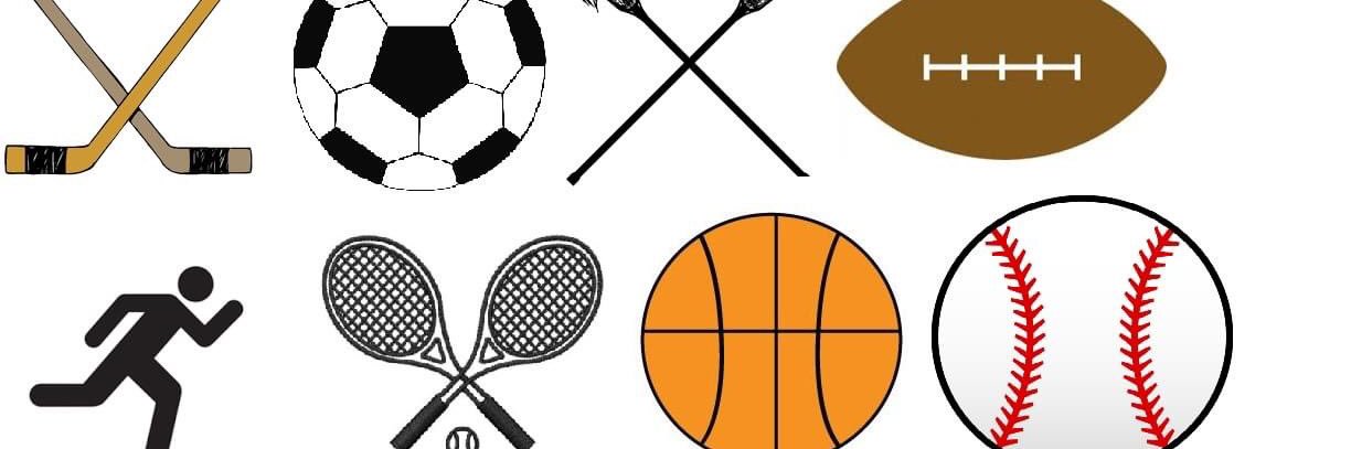 Coalition For Local Grassroots Youth Sports's banner