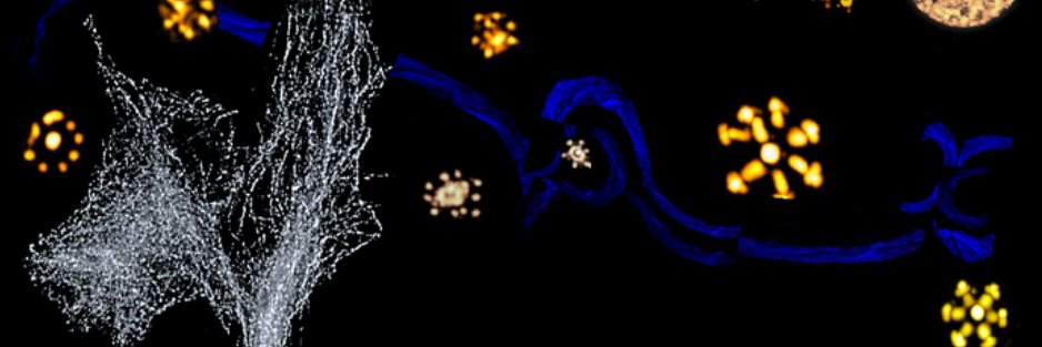 Gagan D. Gupta banner